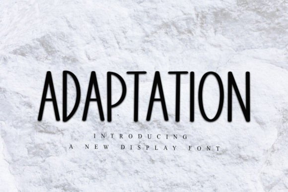 Adaptation: The Elegant Display Font for Modern Web Design